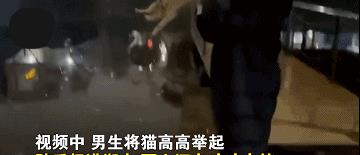中小学|蔫儿坏！2名学生“虐猫”扔湖里，学校：已教育，遭网暴想跳楼！