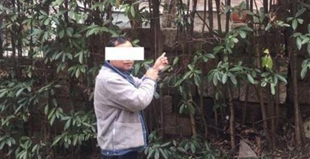 通缉犯大胆藏上海,一无所有成亿万富翁,被捕时请求用3000万赎罪