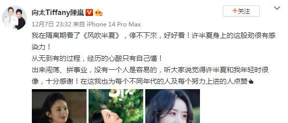 向太|娱乐圈的女大佬，还得是向太