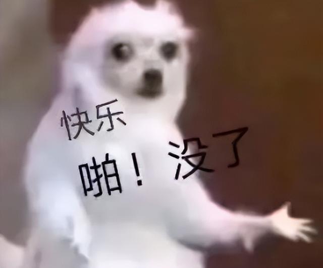 一加科技|迷茫了两年的一加手机,开启了绝地反击