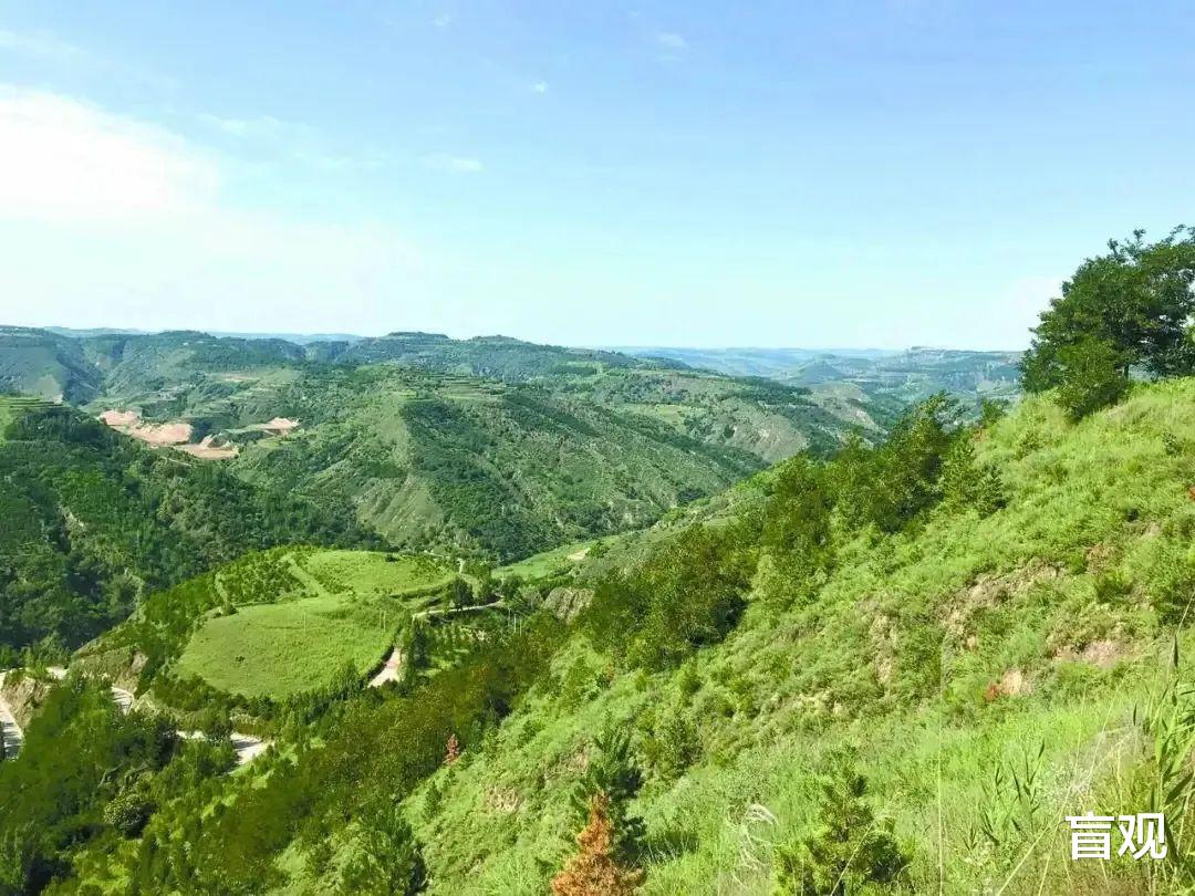 |退耕还林，退耕还草，林和草是不一样的