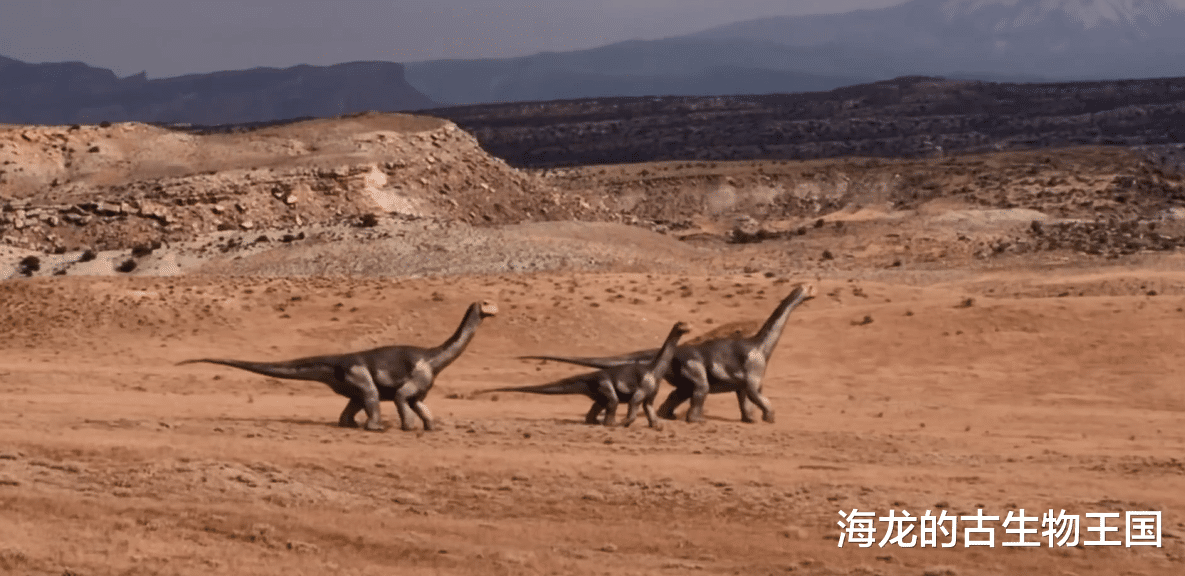 圆顶龙的巨大体型让它成为掠食者望而却步的猎物！