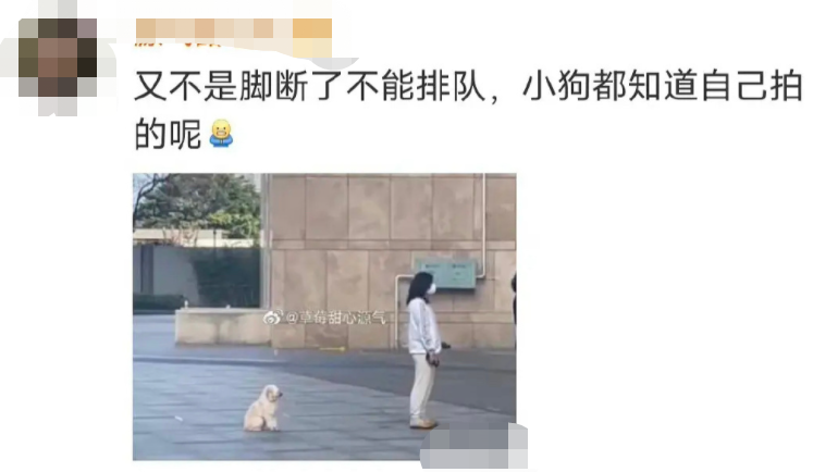 皮特|离婚都6年了,怎么还在撕啊?