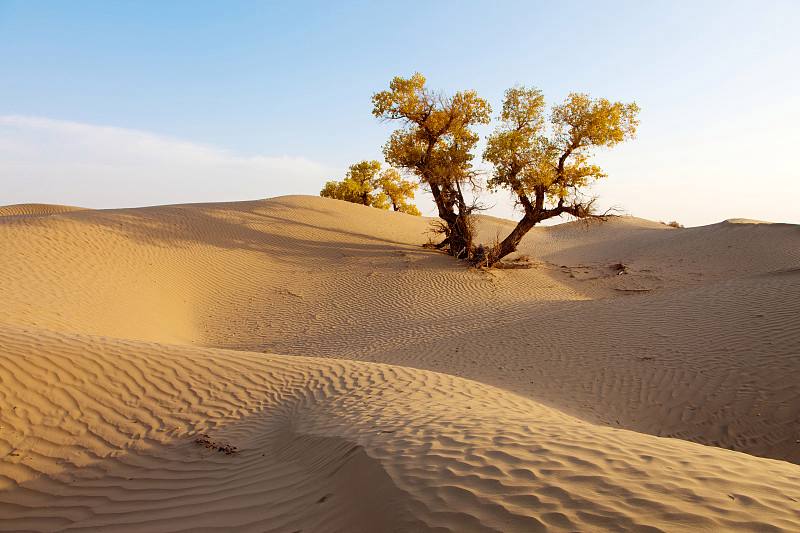 美国|世界十大沙漠,第一名相当于整个美国本土面积!