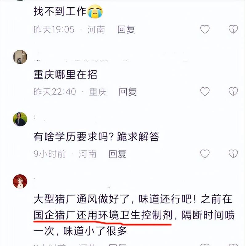 00后|“我找到工作了”，00后社恐女大学生进厂养猪，五险一金底薪4000