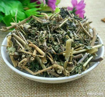 中药|分享抗癌中药五朵云,山沟、路边很常见,消肿化痰、解毒功效佳