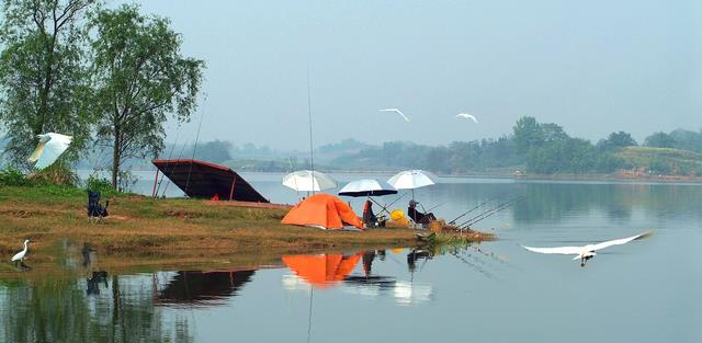 |探秘新钓点鱼影都没见到，却意外钩起一螃蟹，得知身份后高兴坏了