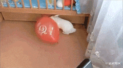 |车站碰到一女子，怎么看都觉得很面熟，你们觉得她像谁呢？