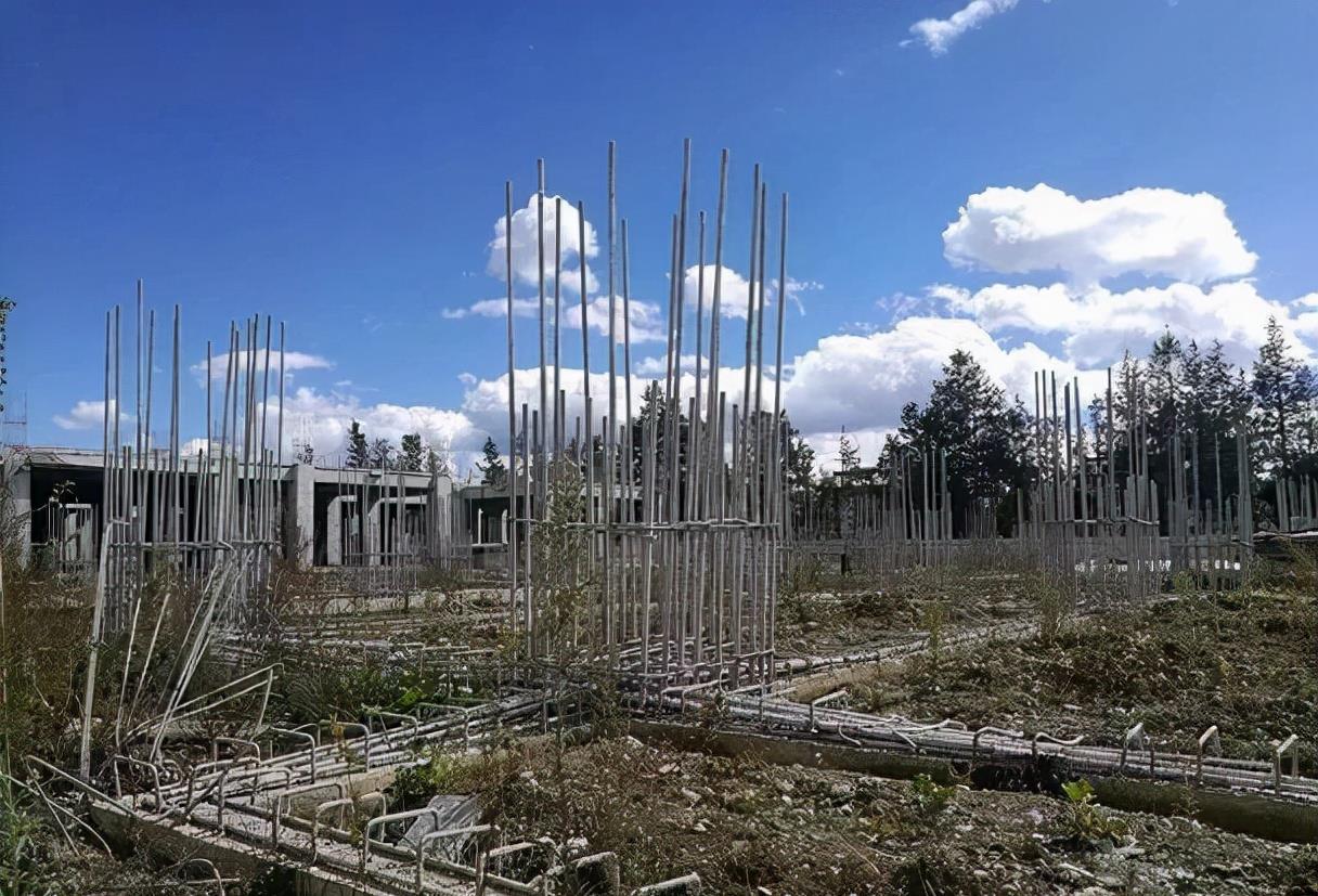 李嫣|李嫣：我是王菲李亚鹏的女儿，父母分开了家还在，将慈善进行到底