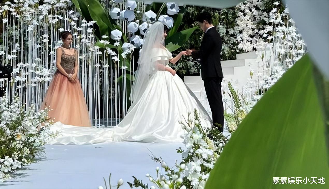 张檬|张檬小五三亚婚礼现场:双方互戴戒指,在一片花海中甜蜜拥吻