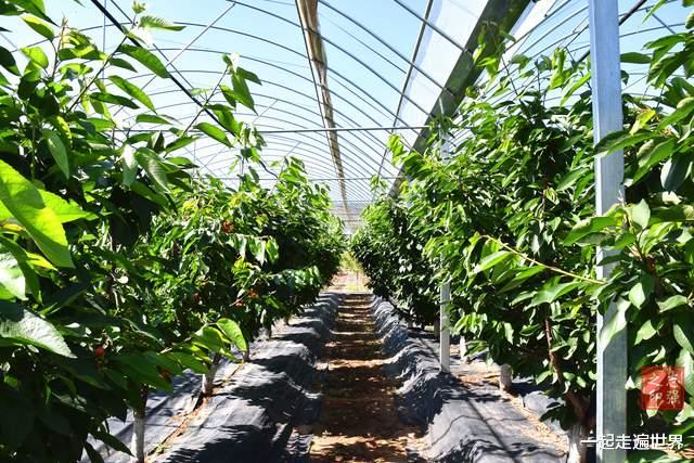 宝贝|我在甘肃旅行,发现一座宝藏小镇,里面藏着许多“宝贝”