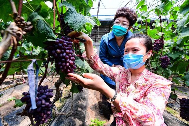 沈阳|这个夏天咋安排？35条夏季游特色旅游线路来啦！?