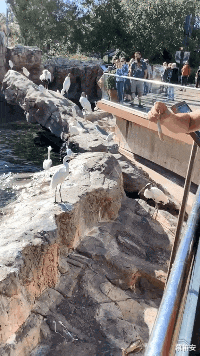 芦笋 “抛开品牌、价格不说！”你选左边还是右边？哈哈哈哈