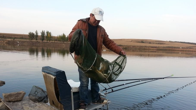 |野钓如何选鱼钩?先确定目标鱼最重要