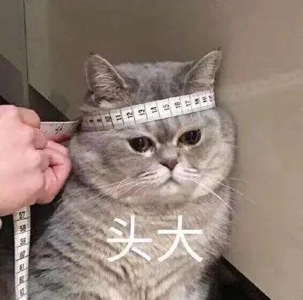 注册会计师|会计应该更注重学历还是证书？