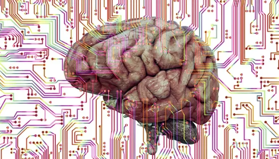 |改善记忆防痴呆，这些水果可常吃。