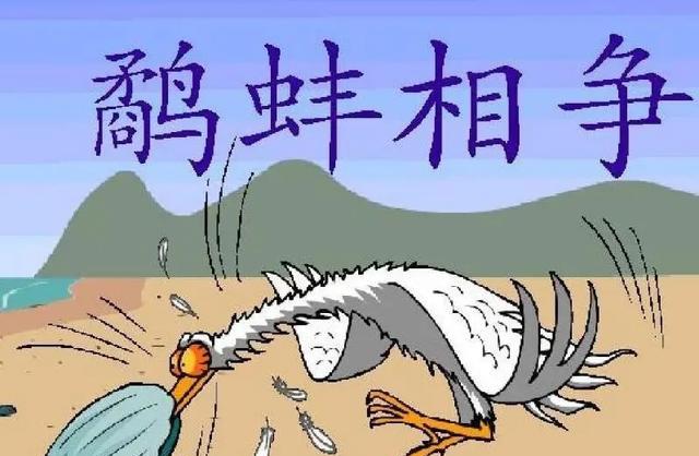 现实版鹬蚌相争,蚌被砸碎,鹬被放走,人该不该干预动物争斗?