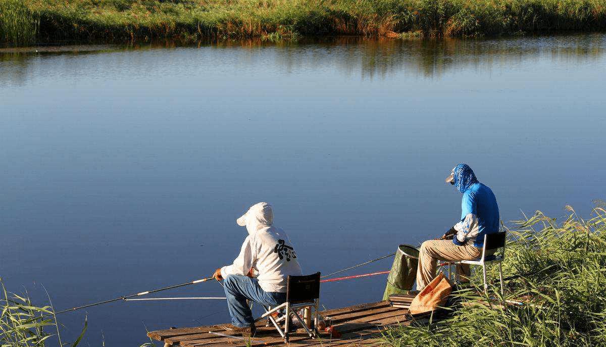 |深秋钓鱼四不宜,注意细节并规避不适用的技巧,才能提高你的渔获