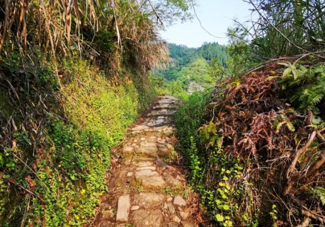 浙江省|浙江还未通公路的村落，隐居深山，原生态景色令人陶醉