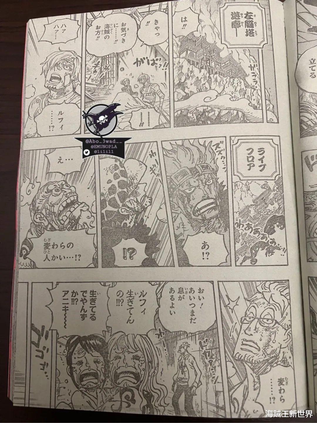 海贼王|海贼王1044话第二次情报更新|全图整理|觉醒的五档！橡胶果实是动物系人人果实幻兽种你能否接受？