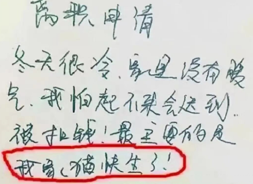 00后|“就是这么任性”,00后硬核整顿职场,辞职信更是让老板看呆了