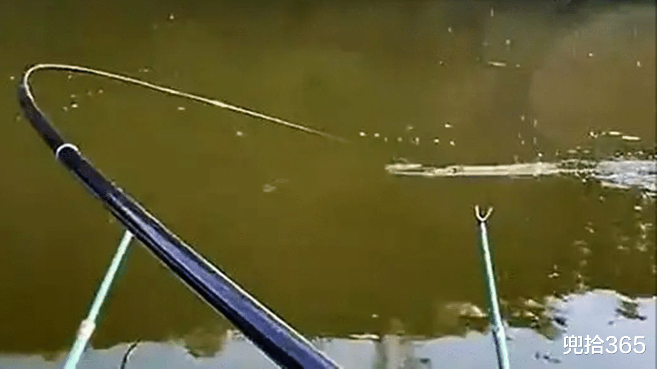 男子在水库野钓意外钓获一条大鱼，结果大鱼成鱼饵，主动断线回家