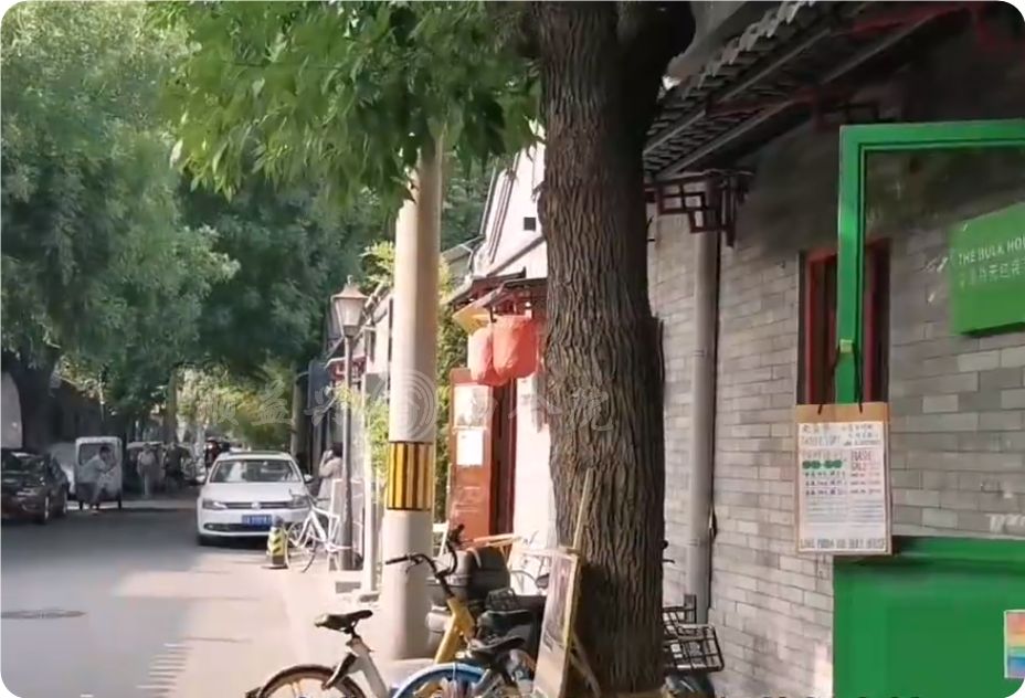 【北锣鼓巷四合院】在宁静的胡同里邂逅别样的庭院美景!