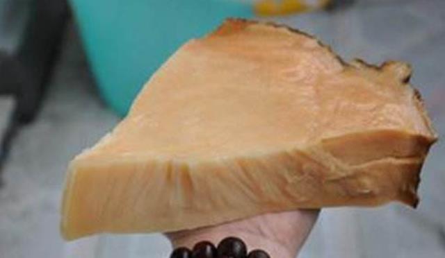 违背生命规律的生物有哪些?你听说过,跳出三界外的“太岁”吗?