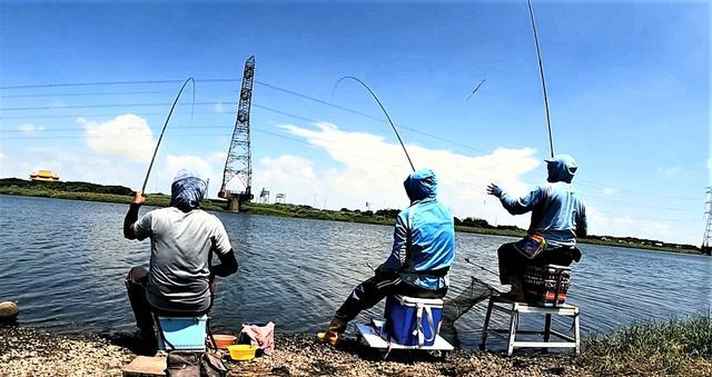 饵料|天热在哪些地方钓鱼比较好?夏天有这4个特征的钓位才是好钓位