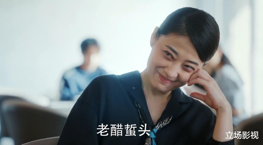 梅婷|梅婷新剧开播，连看5集不过瘾，国产又出了一部“宝藏”剧？