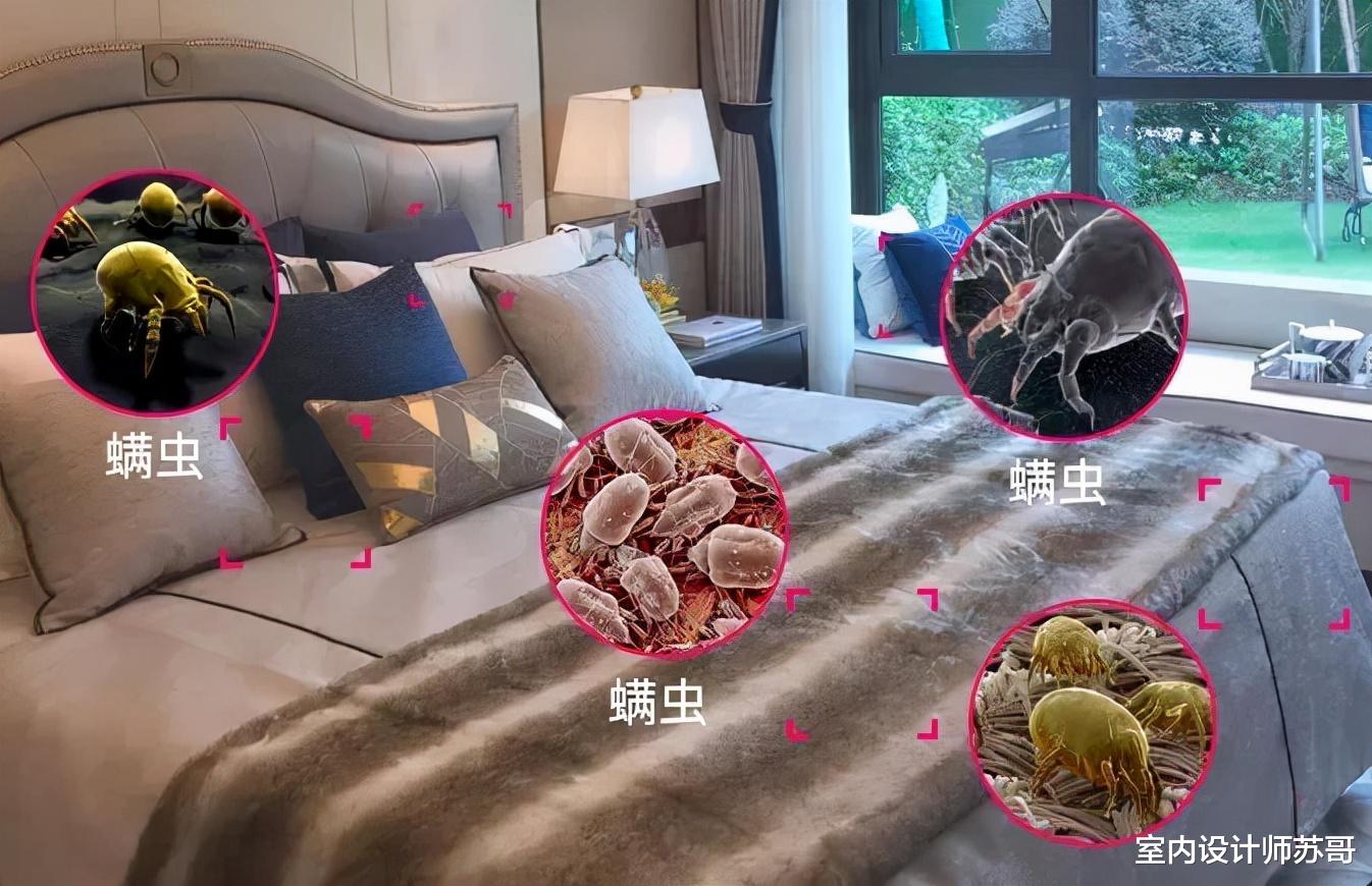 被子放久了潮湿发霉还有异味?宝妈教你正确做法,干净没异味