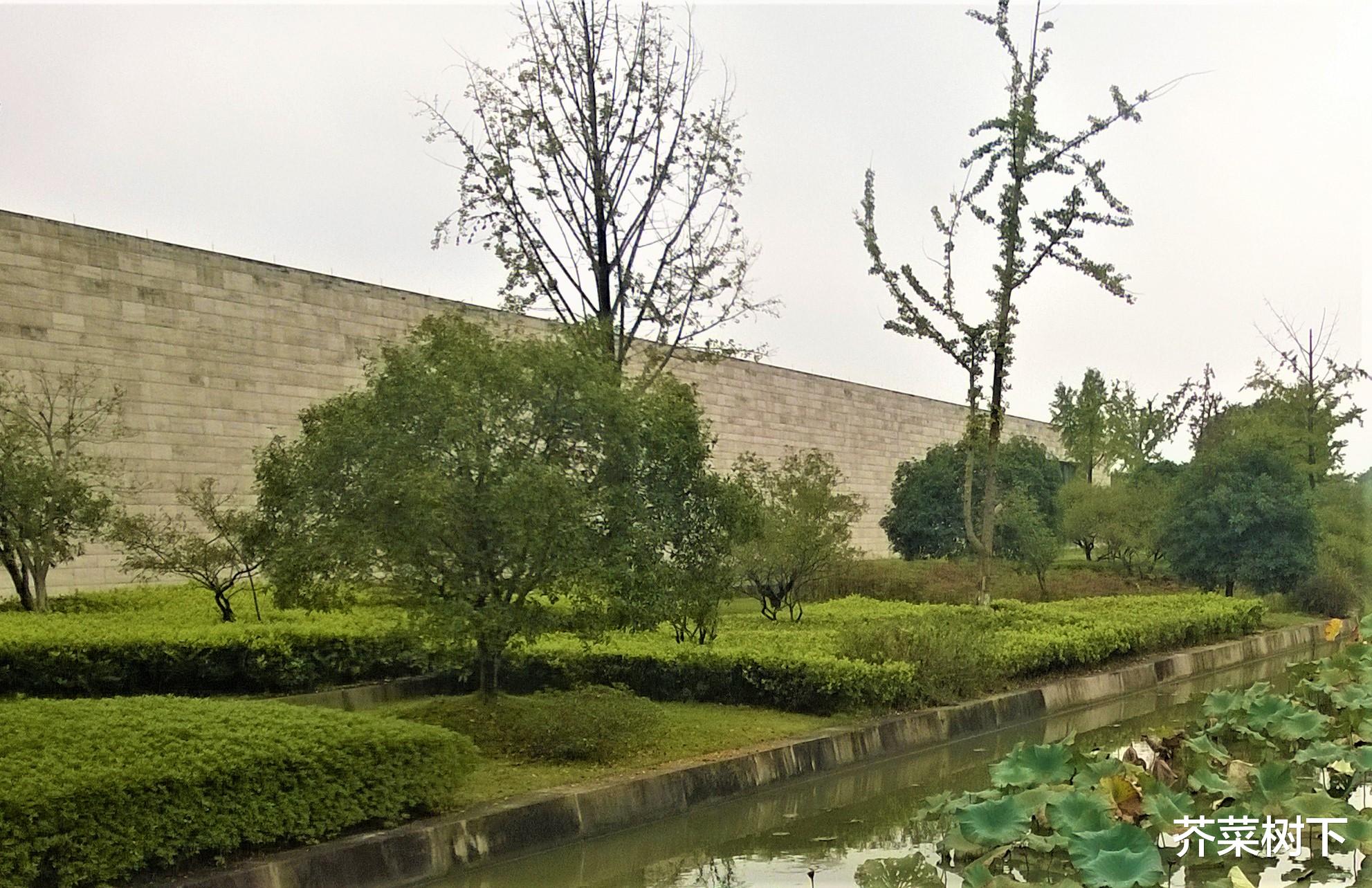 |职场真勤快,凡事得用心