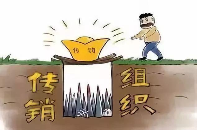 泰安抓获两名“纯资本运作”传销组织犯罪嫌疑人
