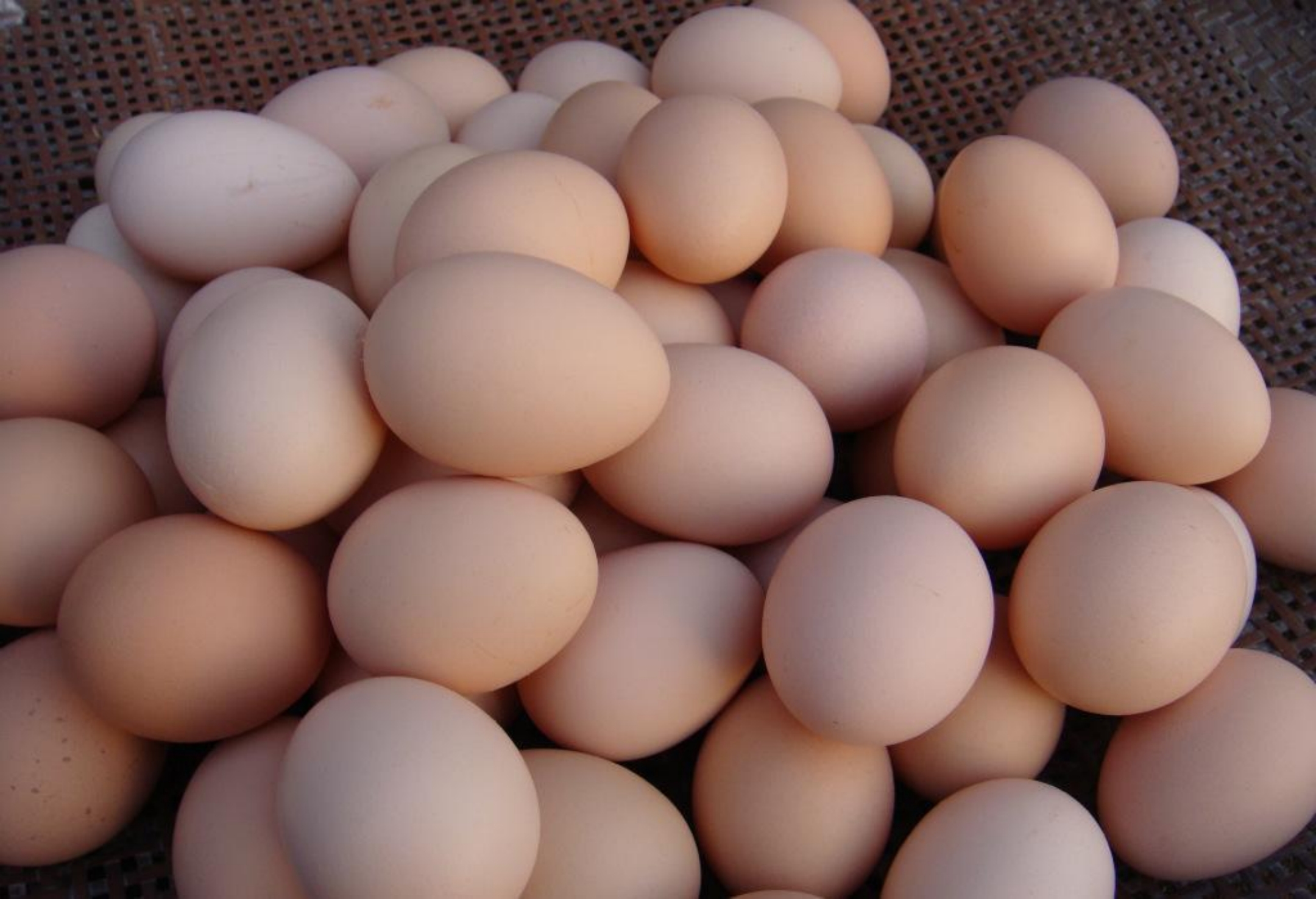 牙痛|鸡蛋的正确食用方式是什么?这几个关于吃鸡蛋的注意事项要知道