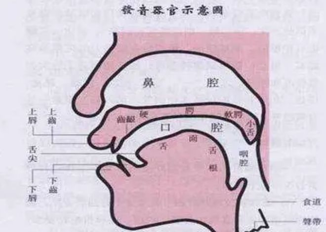 古埃及法老著名实验:把婴儿聚一起,不教说话,会产生新语言吗?