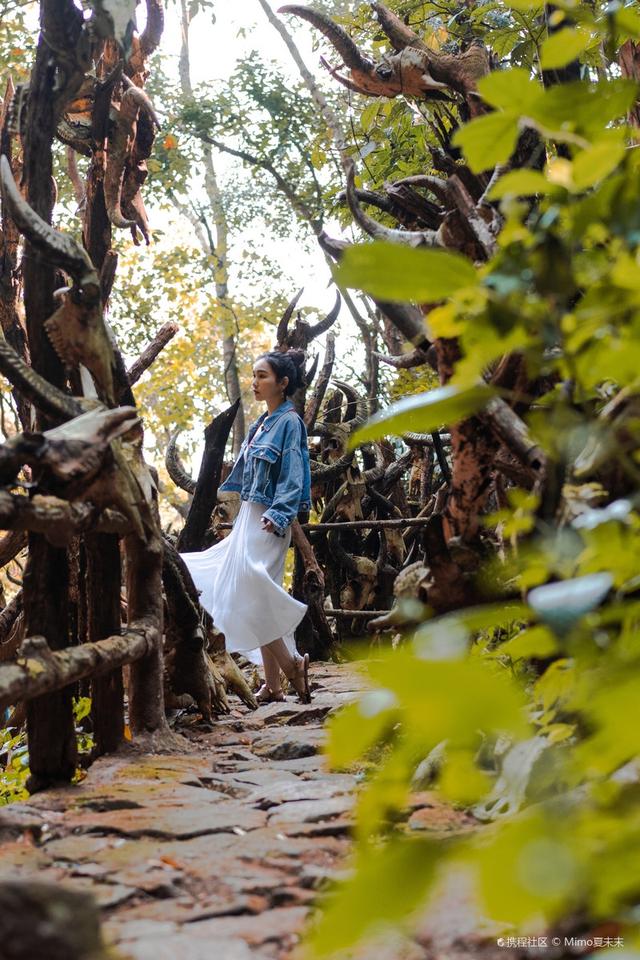 云南|在云南奇遇佤族人民的圣地，神秘的龙摩爷，悬挂了上千个牛头骨
