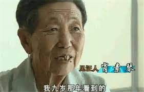 北极熊吃出“龙骨”,明明只是个哺乳动物,为何神似中国龙?