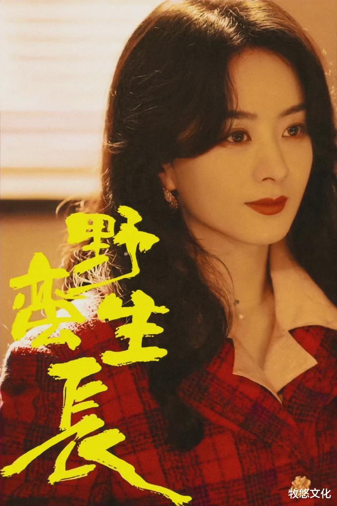 赵丽颖|赵丽颖:从销售员到收视女王,于正表示再也不会和她合作了