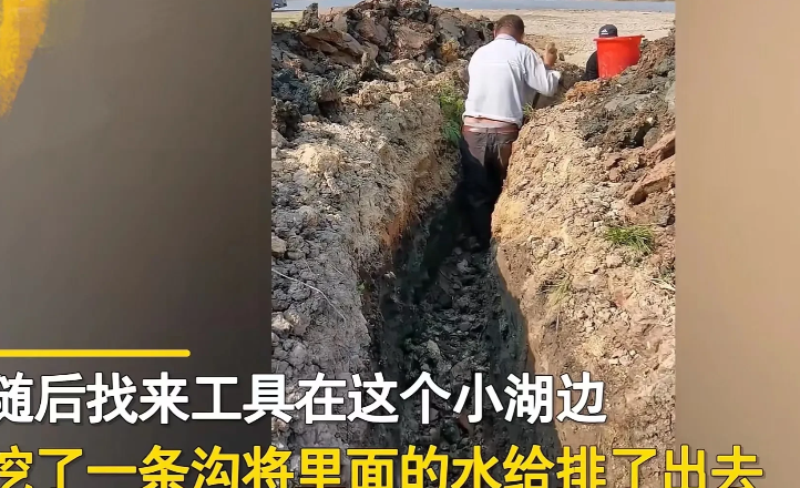 池塘|近日男子和朋友去钓鱼，结果一条都没钓上, 居然决定来个“涸泽而渔”