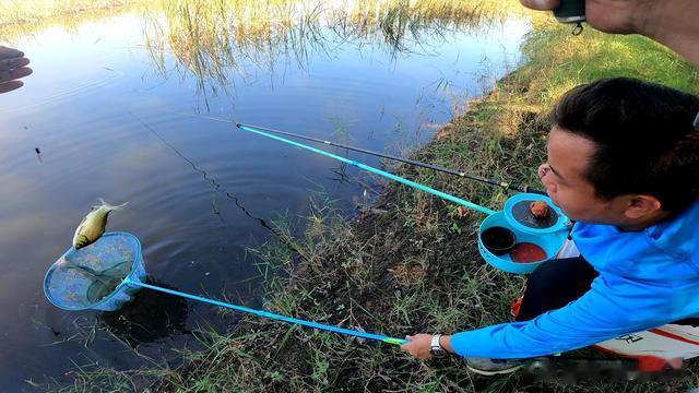 |300元就可以搞定如此豪华、实用的钓箱?钓友:二手钓箱在哭泣