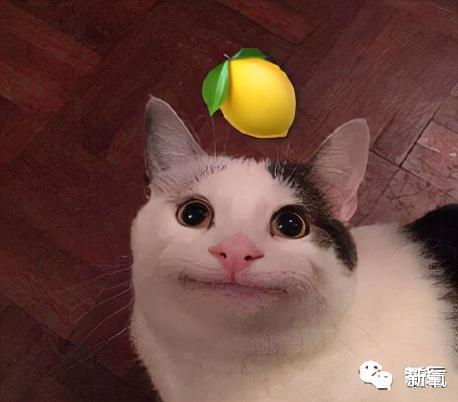黄瓜 亿万富翁的孩子们都是怎么花钱的？