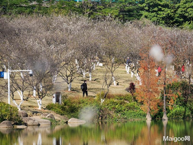 广州市|广州十大著名城市公园 值得一去的广州公园