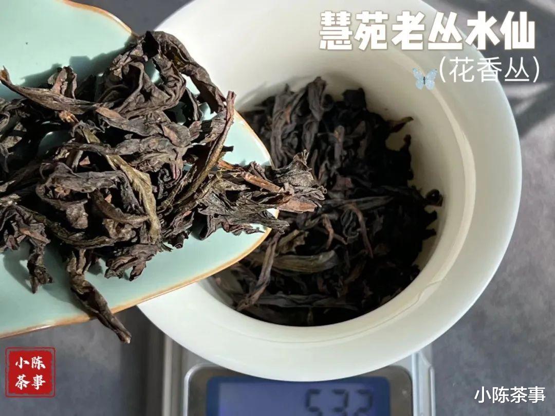 肉桂有大桂皮，水仙有没有大兰底？一文看懂水仙岩茶香气的秘密