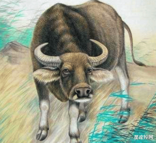 生肖|2022年收入增幅最大的生肖都是谁?占了好运,抓住时机