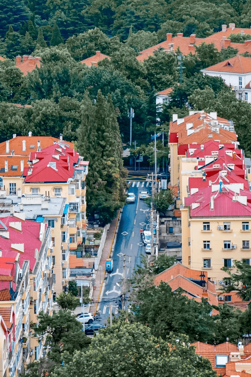 |这座宜居Top1的海滨老城,一到夏天,就美得让人欲罢不能