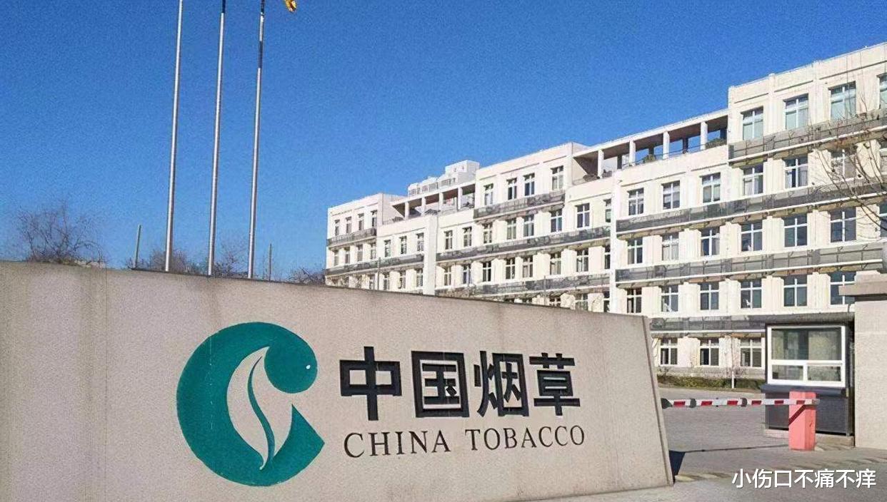 烟草局年薪超20万,为何大多数人都进不去?过来人揭露了真相!