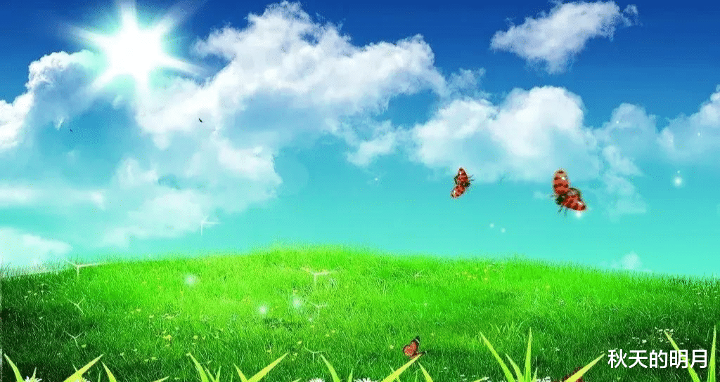 |一个女人越低调越有福气,内心越富足