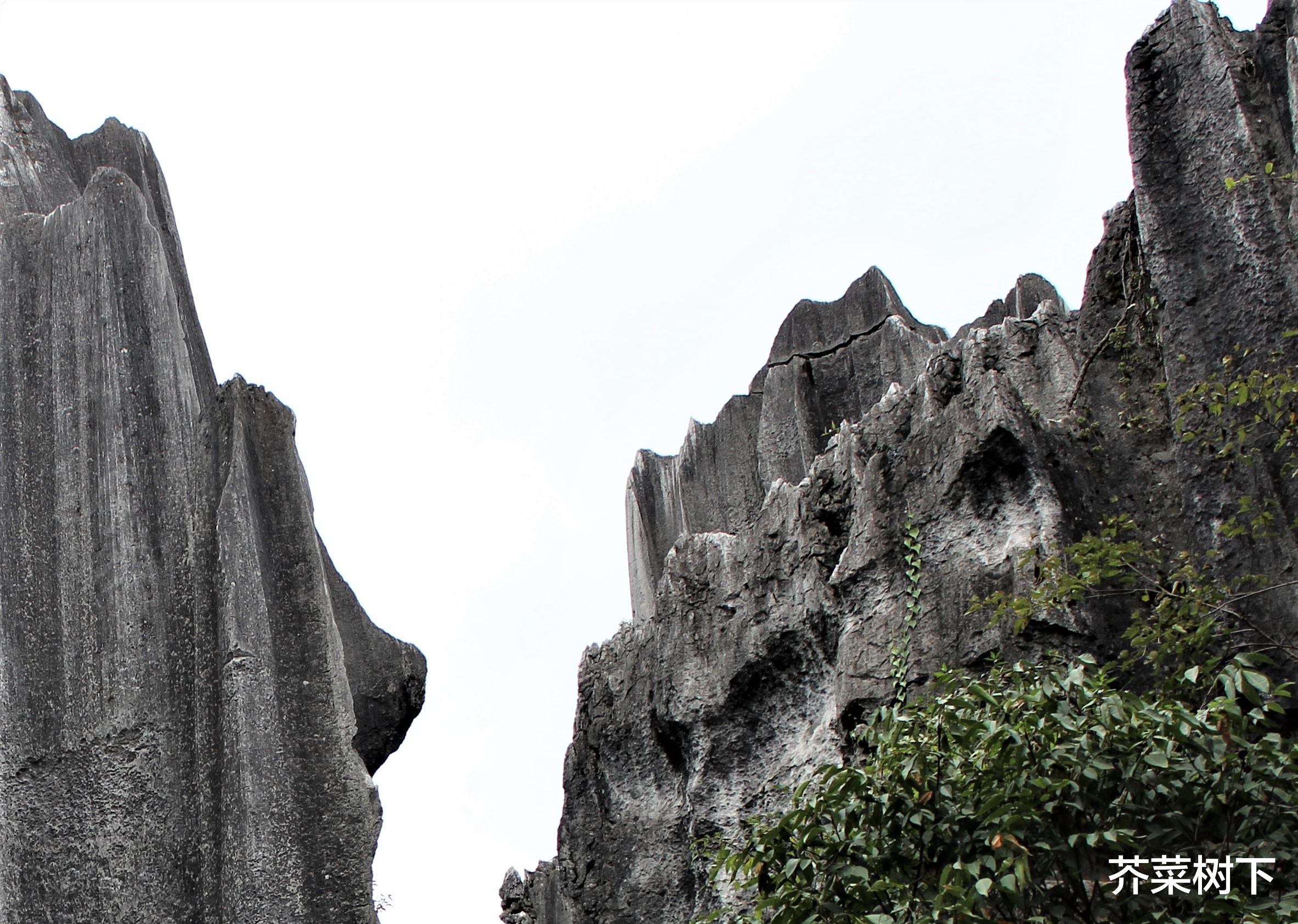 慈利|职场过关:实力,意志和斗志