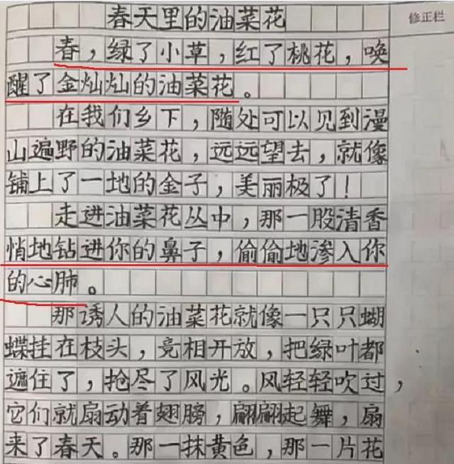 作文|小学生作文走红！文笔优美，字迹好像印刷体， 不比老师差