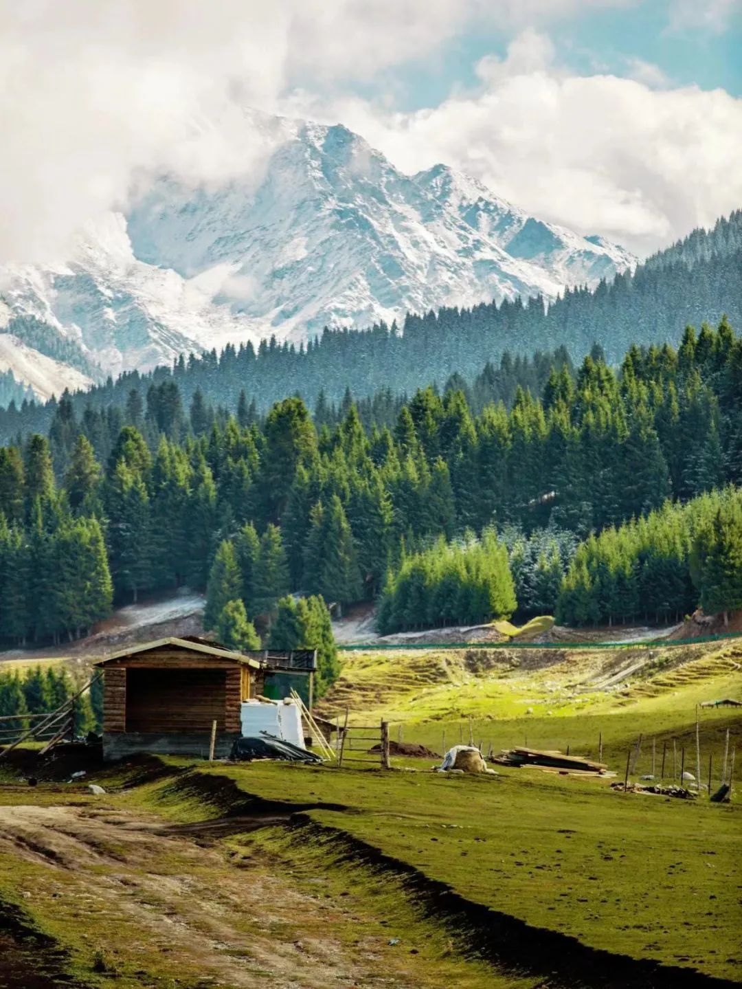 旅行|你是否误入了挪威的森林王国?中国当季小众旅行地